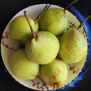 何謂秋季養(yǎng)生 秋季養(yǎng)生最重要的是養(yǎng)肺排毒