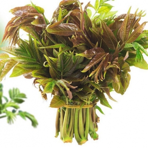 吃香椿有補(bǔ)虛壯陽(yáng)固精、補(bǔ)腎 吃香椿好處一覽