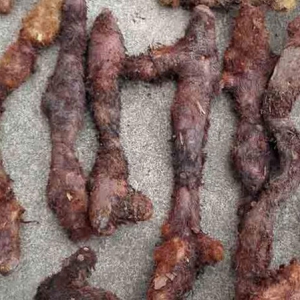 骨碎補(bǔ)對(duì)牙齒松動(dòng)有療效 骨碎補(bǔ)價(jià)格一覽